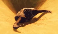 ANTLION icon
